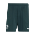 Mexico Away Soccer Shorts 2026