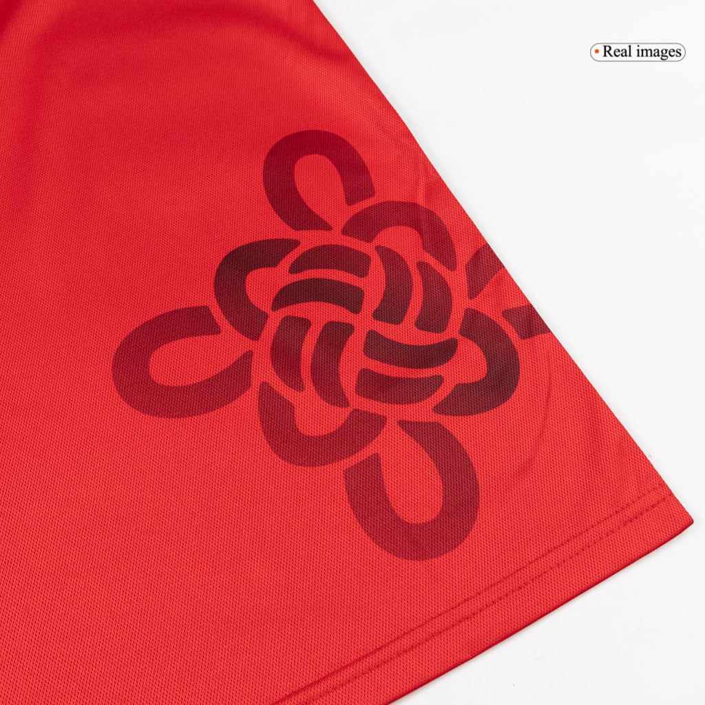 Manchester United Long Sleeve Soccer Jersey 2025/26