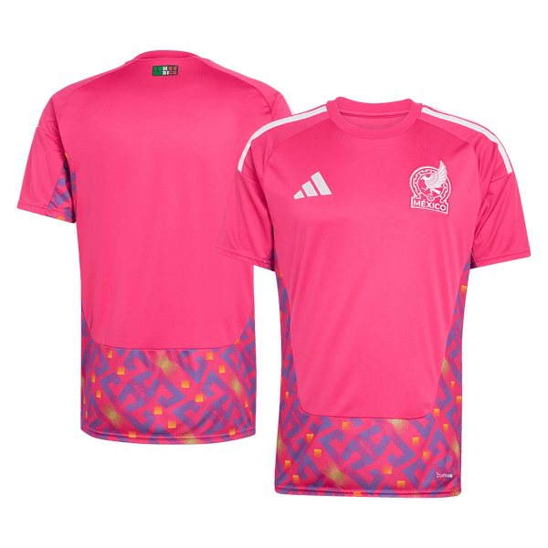 Mexico Goalkeeper Soccer Jersey World Cup 2026 Pink